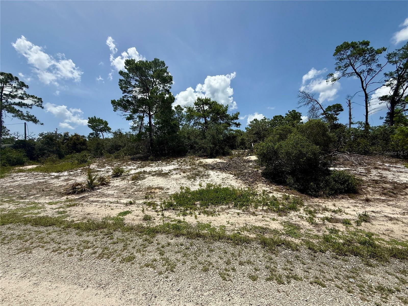 Property Photo: 456 Apple Blossom Court FL 33852