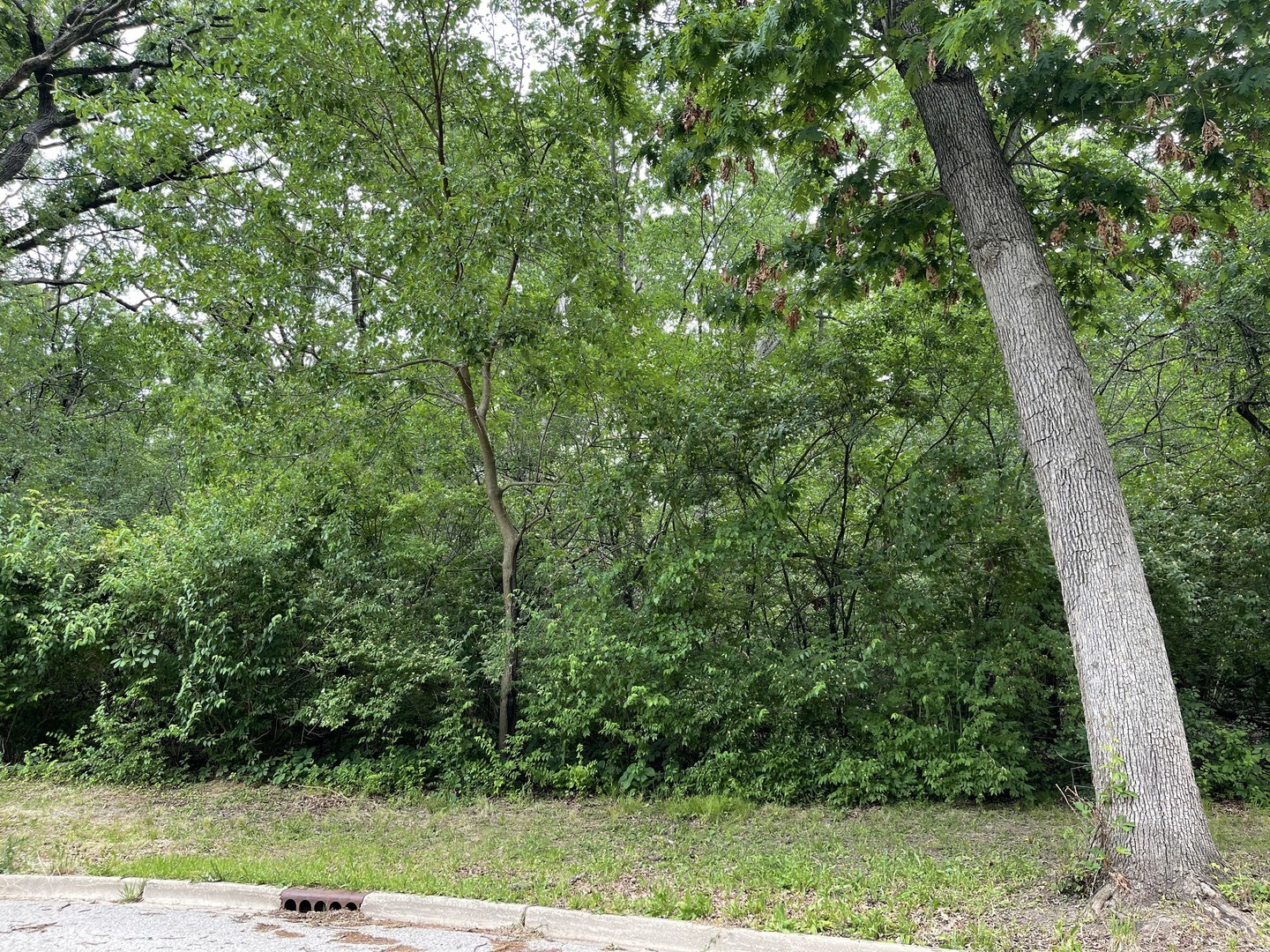 Property Photo: 7220 Forest Oak Drive IL 60050
