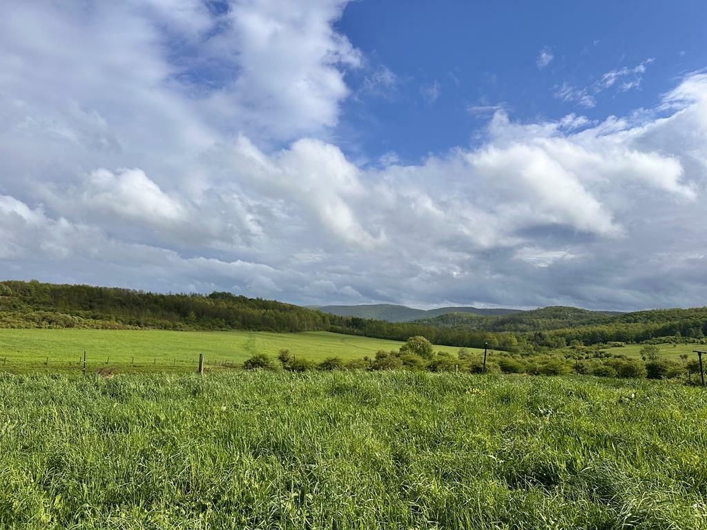 Property Photo: 2060 Rietter Hill Road PA 16950