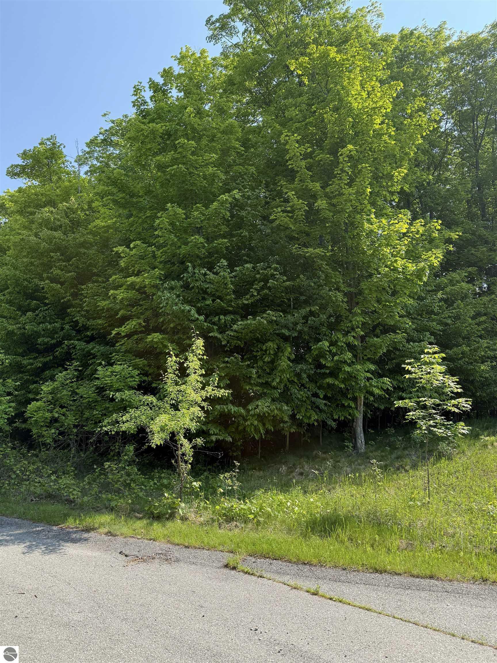 Property Photo: 0000 Mooney Way MI 49648