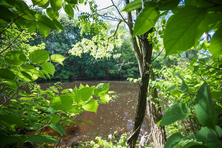 Property Photo: 191 Washington Street NH 03820