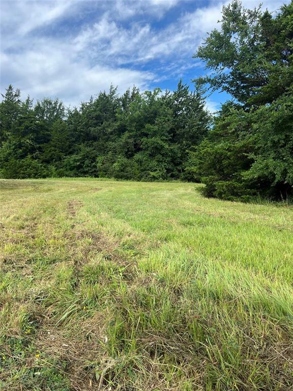 Property Photo: Tbd County Road 4578 TX 75482