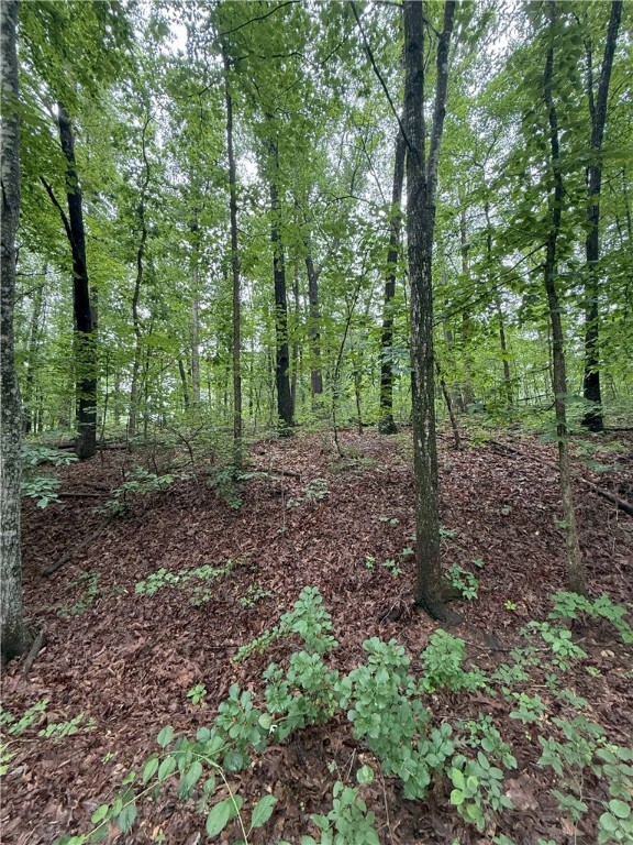 Property Photo: 12 Shildon Circle AR 72714