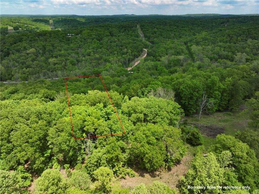 Property Photo:  16699 Posy Mountain Road  AR 72756 