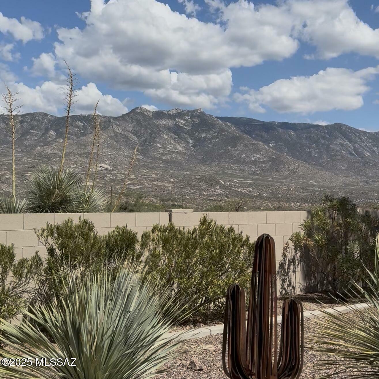 Property Photo:  38893 S Tranquil Drive  AZ 85739 