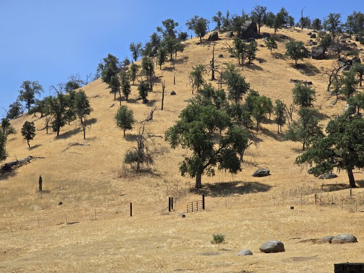 Property Photo: 0 Meadowlark Lane C CA 93265