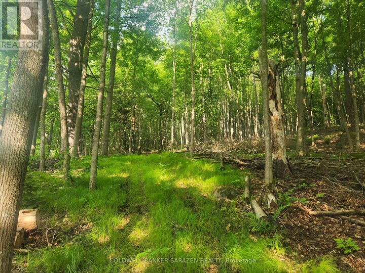 Property Photo: 1680 Calabogie Road ON K0A 1G0