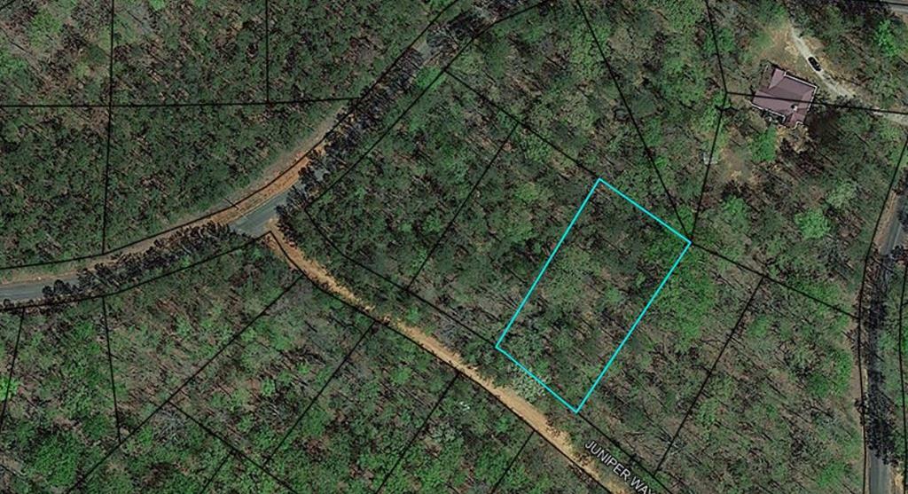 Property Photo:  Blk 33 Lot 06 Juniper Way  GA 31831 