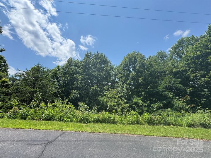 Property Photo: 0 Mountain Lookout Drive Lot 82 NC 28018