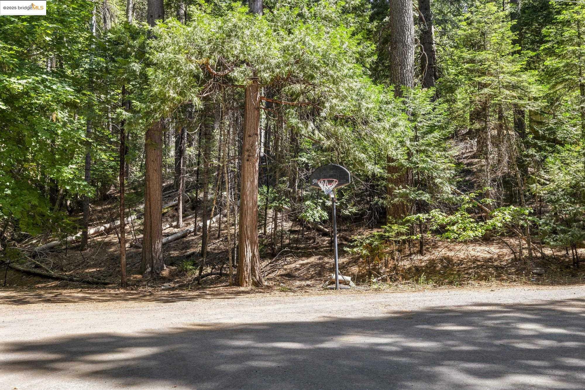 Property Photo: 17067 Pony Tail Ct CA 95370