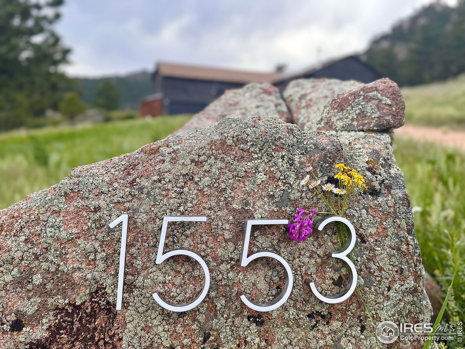 Property Photo: 1553 Rowell Dr CO 80540