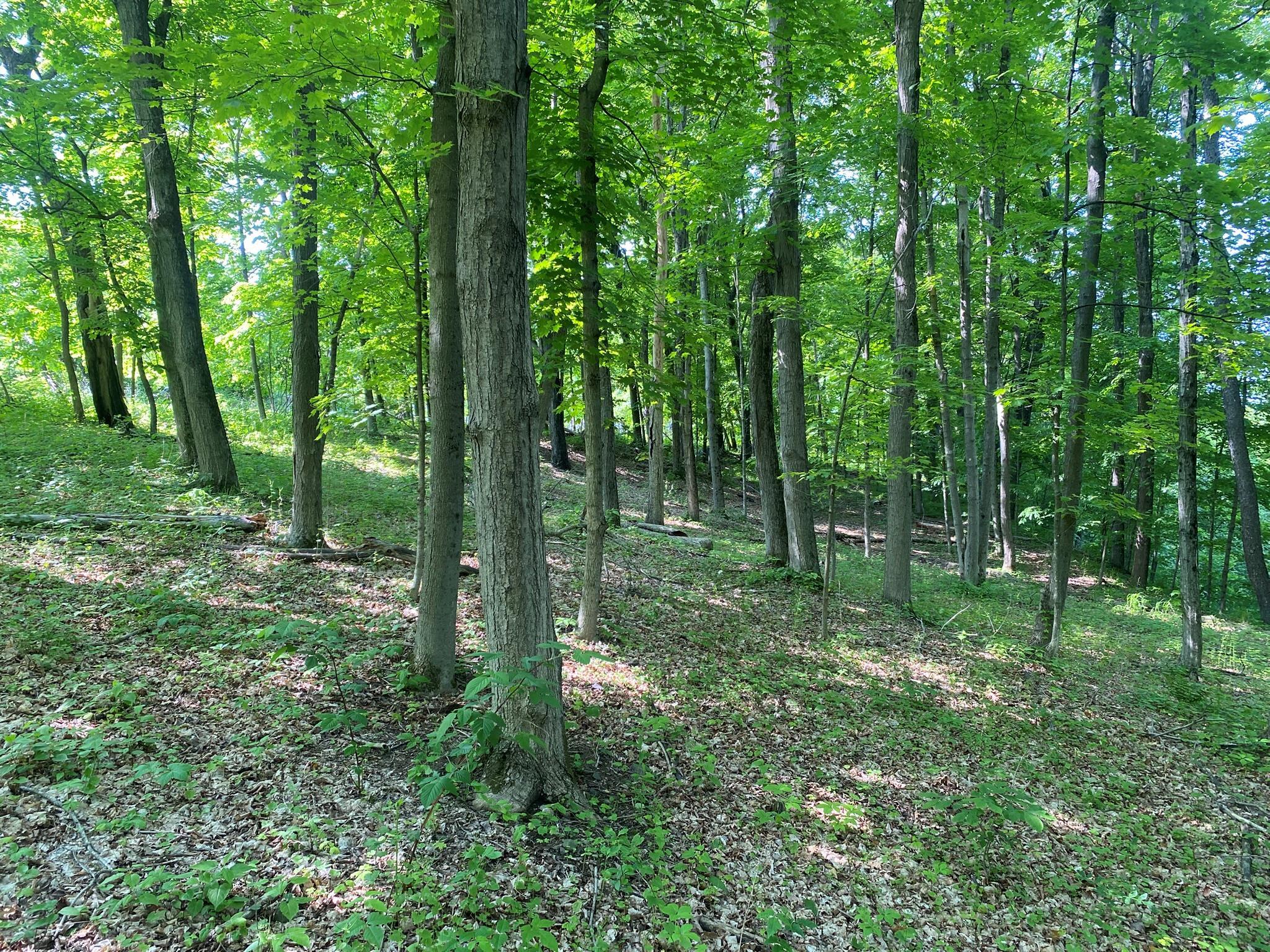 Property Photo: County Route 8 NY