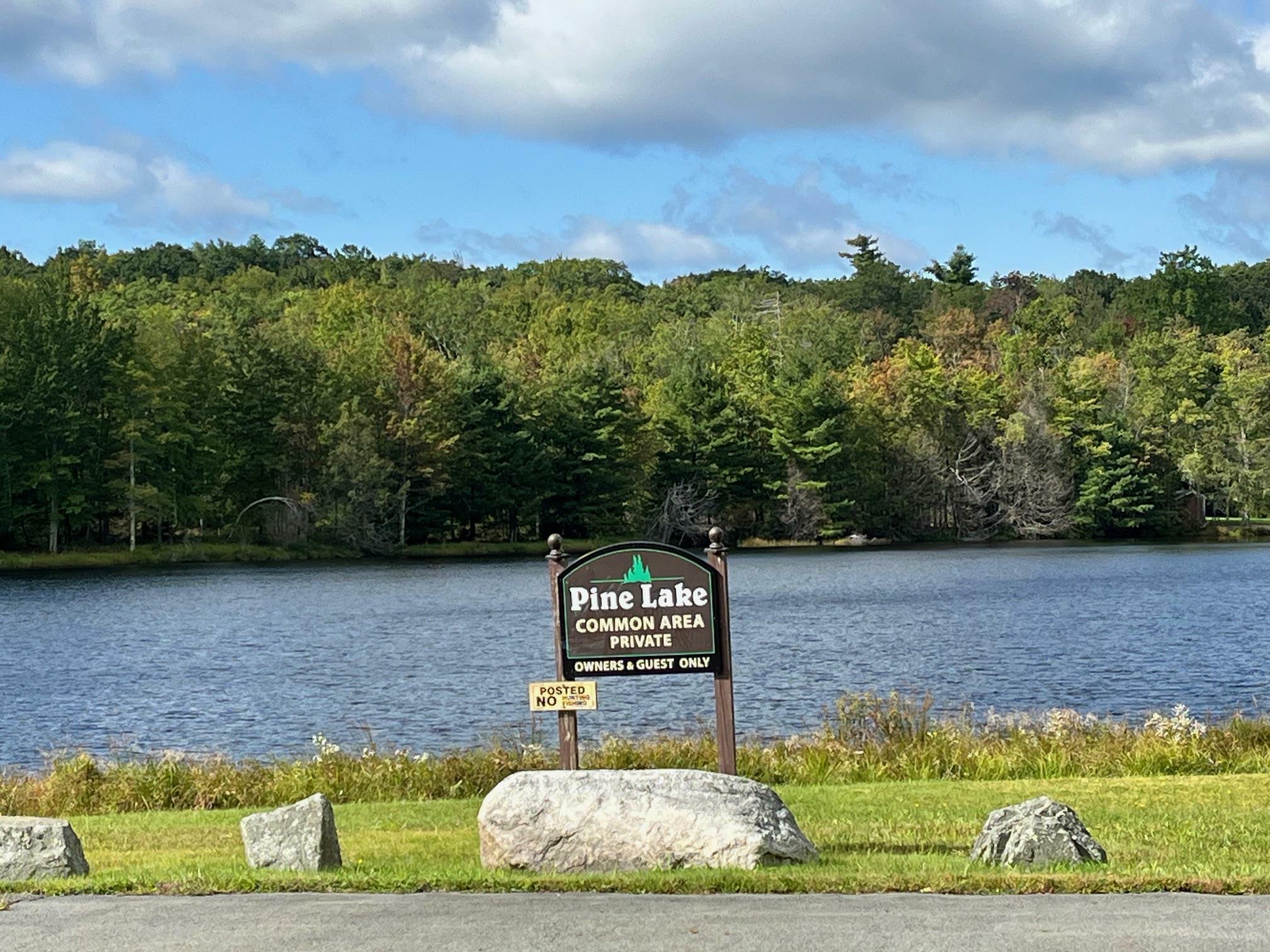 Property Photo: Lot 21 Pine Lake Drive NY 12790