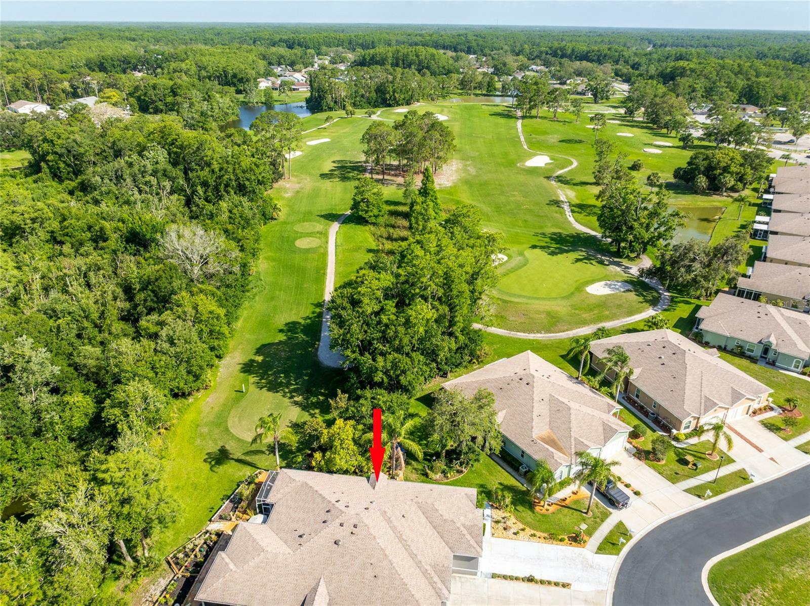 Property Photo: 12134 Tournament View Avenue FL 34654