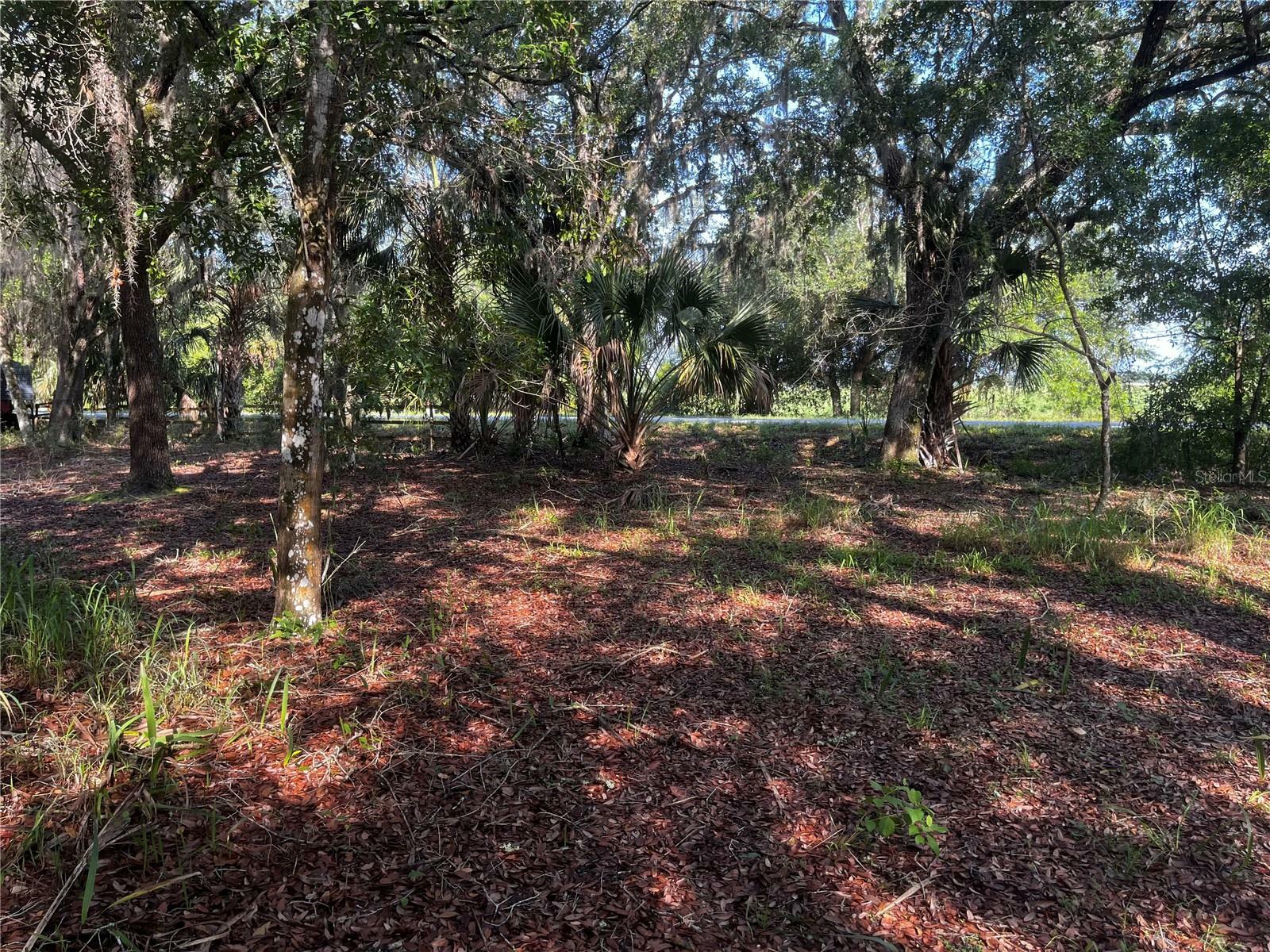 0 Camp Mack Road  Lake Wales FL 33898 photo