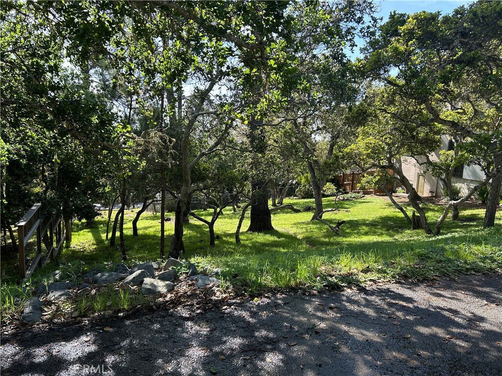 Property Photo:  0 Benson Avenue  CA 93428 