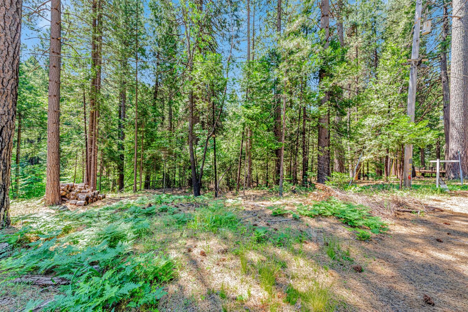 Property Photo:  6134 Kokanee Lane  CA 95726 