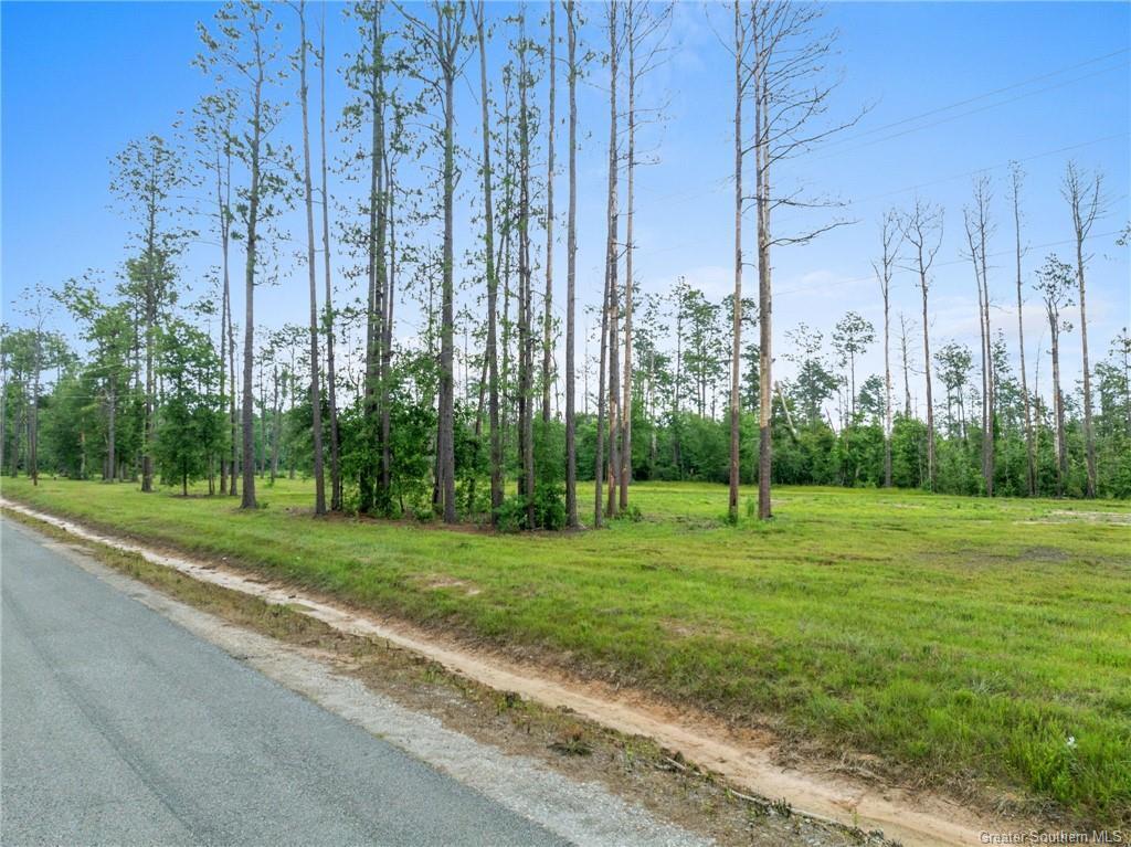 Lonnie Cole Rd Tract 7  Ragley LA 70657 photo