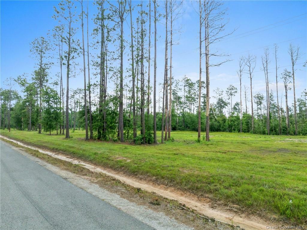 Property Photo:  Lonnie Cole Rd Tract 7  LA 70657 