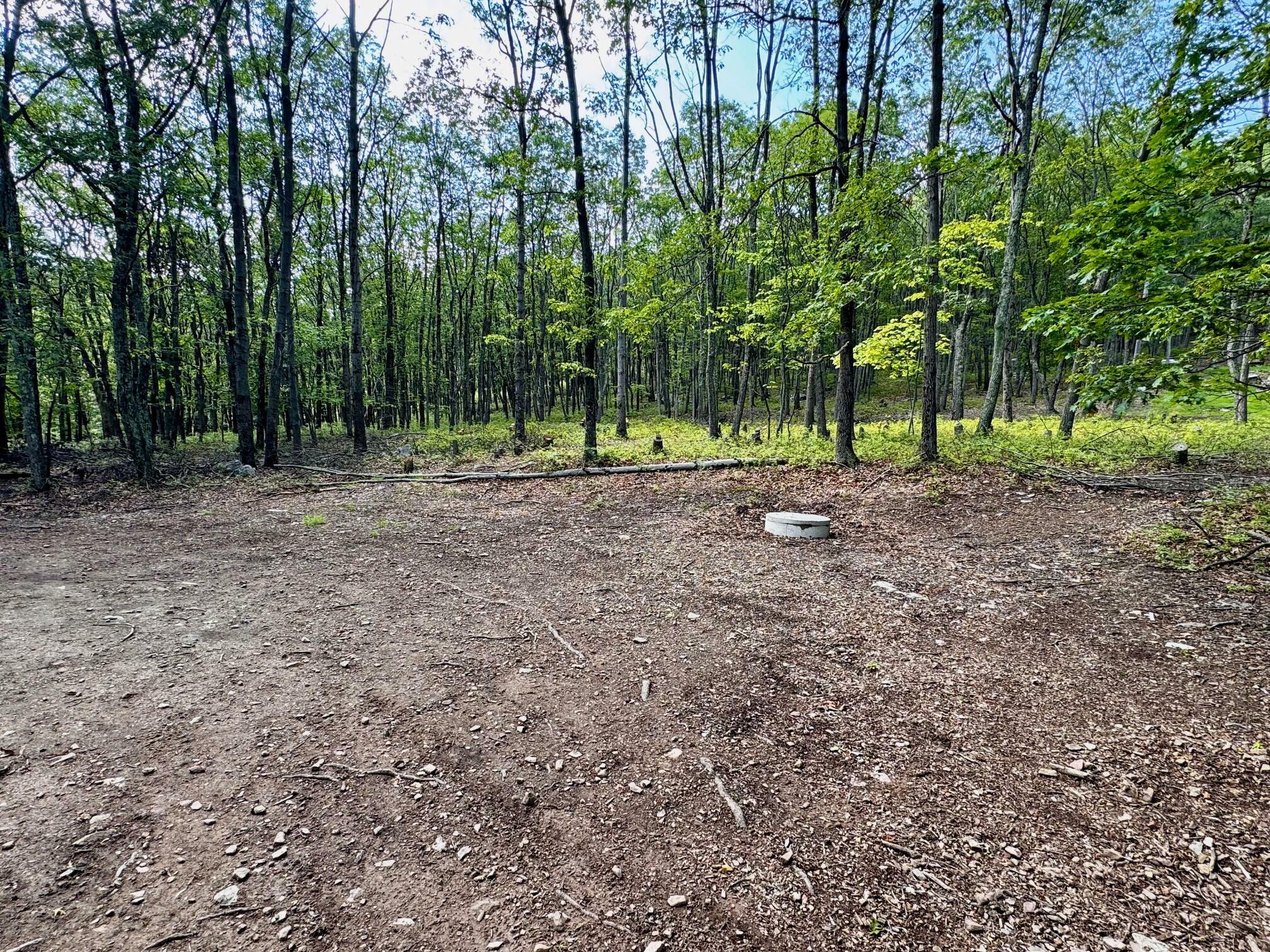 Property Photo: Foothill Blvd 5 Boulevard PA 18330