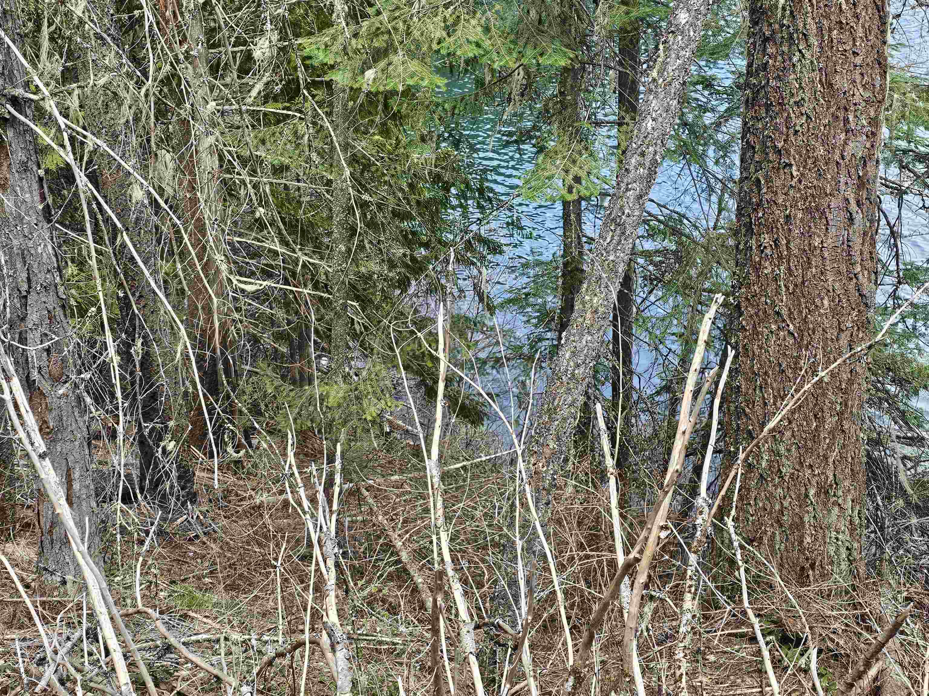 Property Photo: Nka Marshall Lake Rd WA 99156