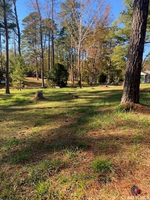 Property Photo: 0 Woodland Court GA 30669