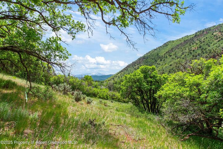 Property Photo:  354 Snowmass Creek Road  CO 81654 