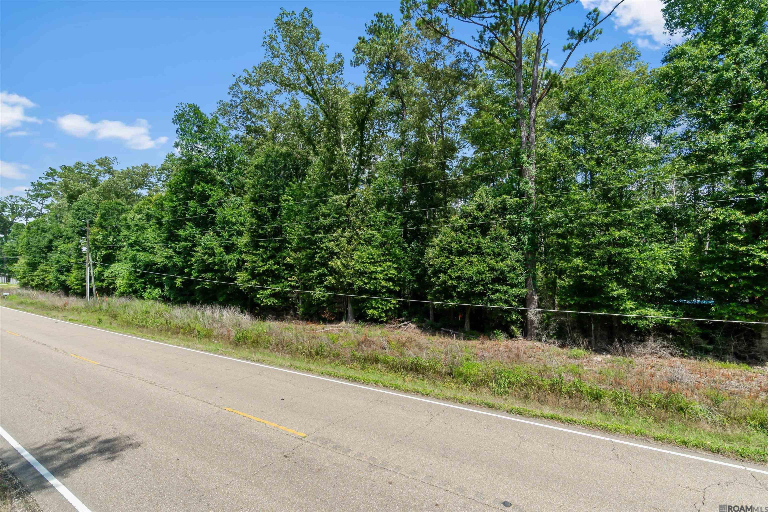 Property Photo: La Hwy 42 LA 70754