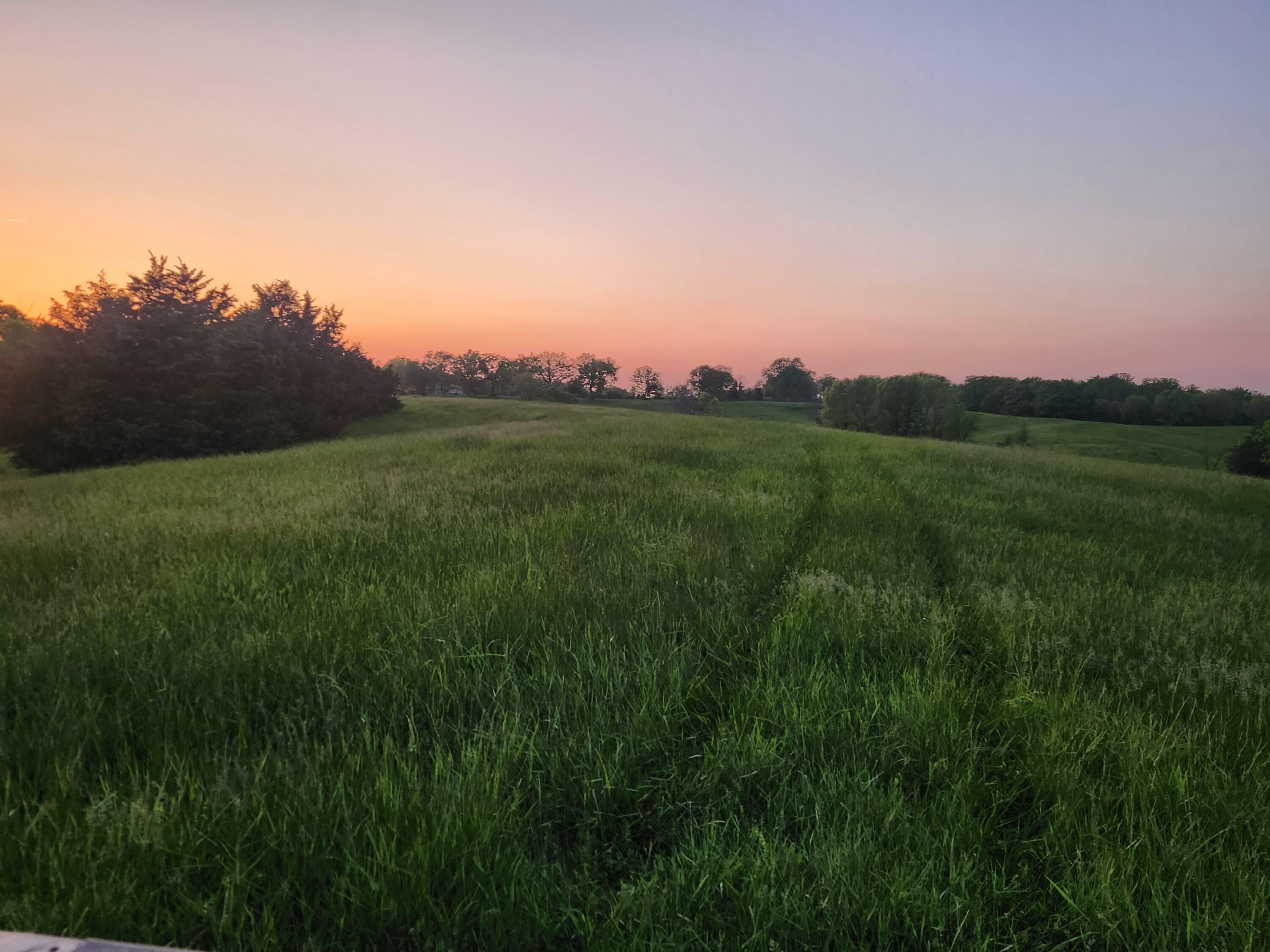 Property Photo: Tract 1 N Barnett School Rd MO 65284