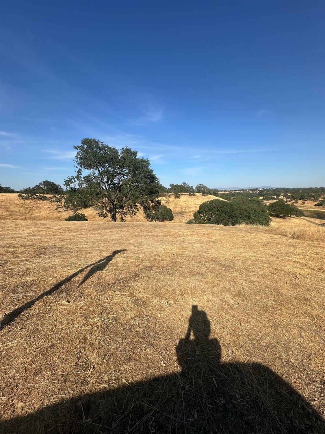 Property Photo: 75 Cormorant Drive CA 95254