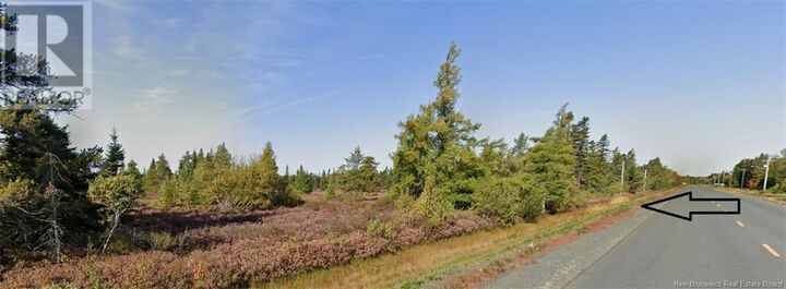 Property Photo:  Lot Rte 117  NB E9A 1J9 