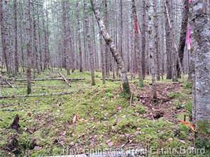 Lot 2022-2 Melanson Lane  Rusagonis NB E3B 8Y6 photo