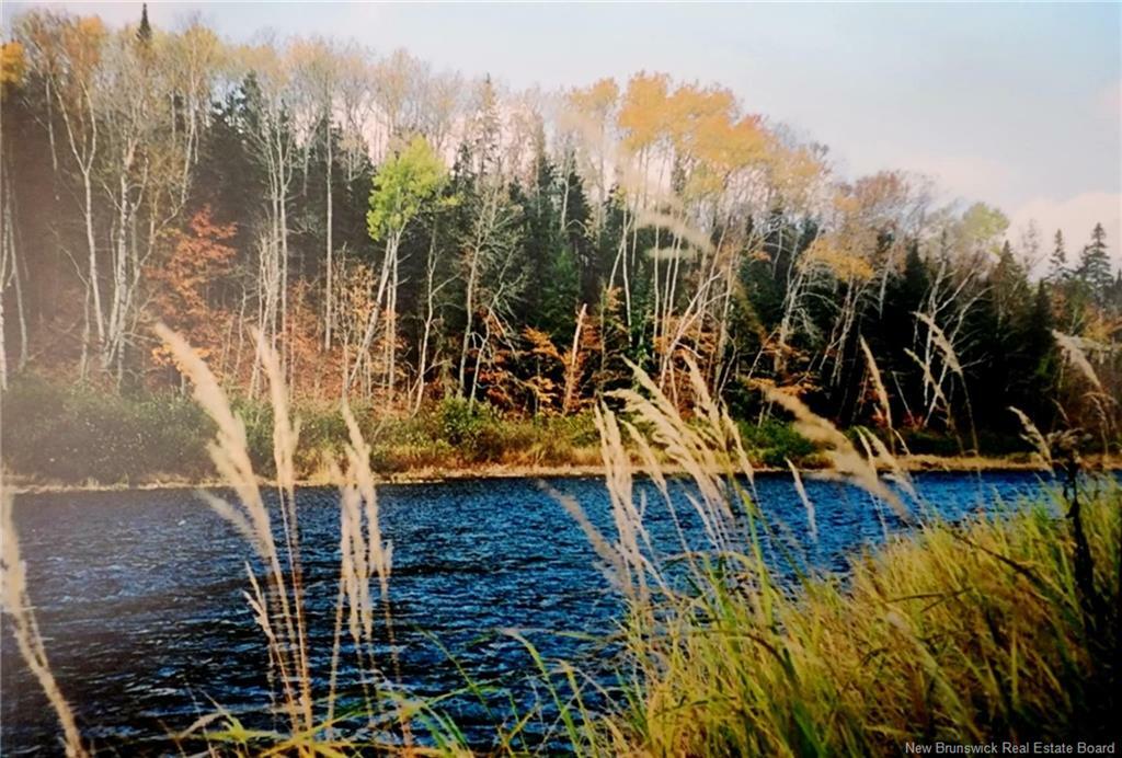 Property Photo: Woodlot Route 8 NB E6A 1N8