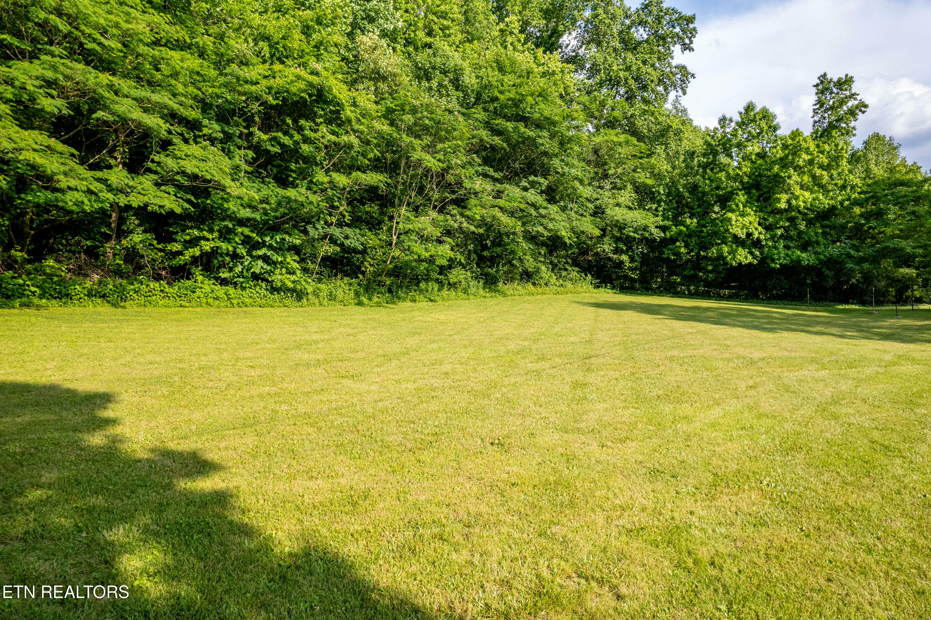 Property Photo: 226 Stables Drive TN 37882