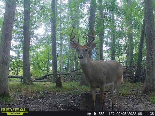 9159 Moreland Road  Jerome MI 49249 photo