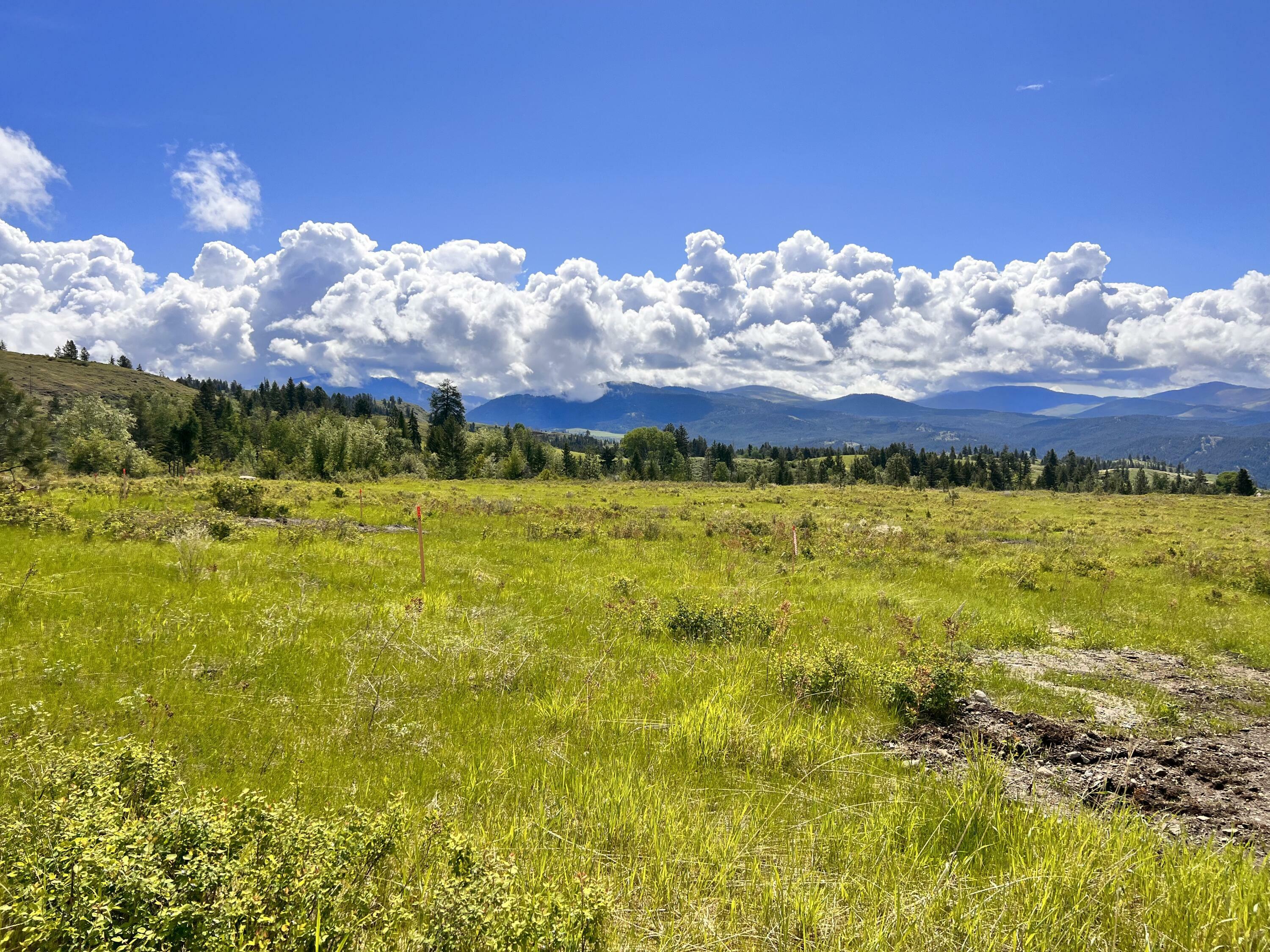 Property Photo: 36 Moonlight Dr WA 99118