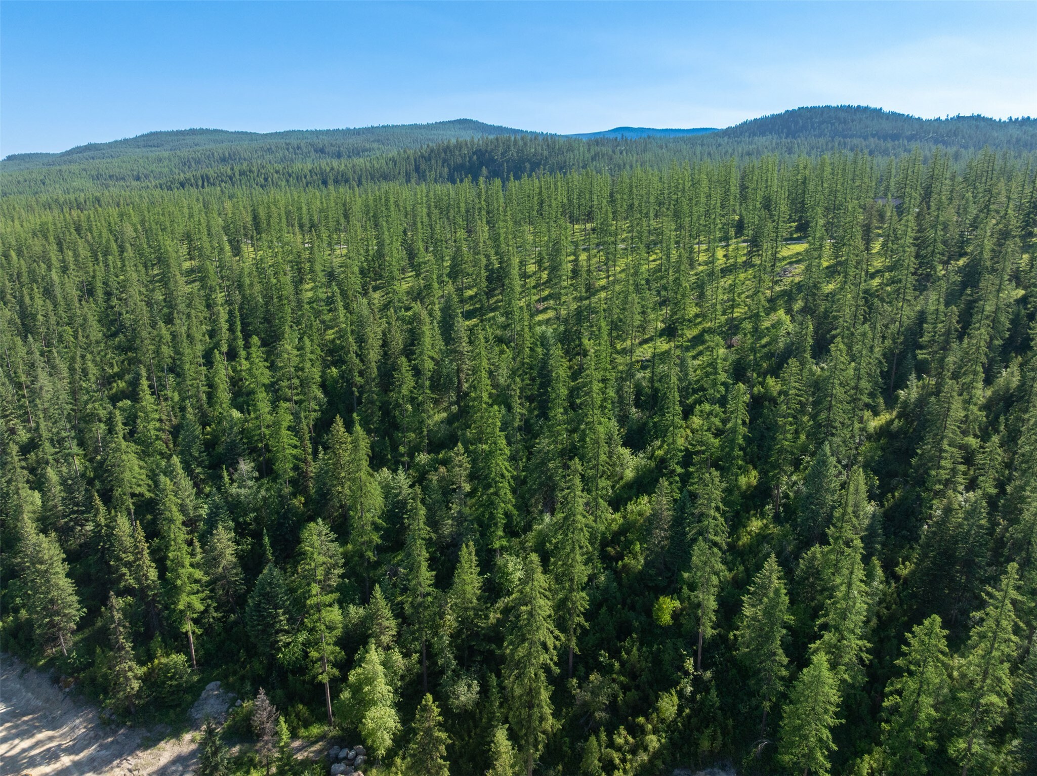 Property Photo: Tbd Greenstone Ranch Road MT 59937