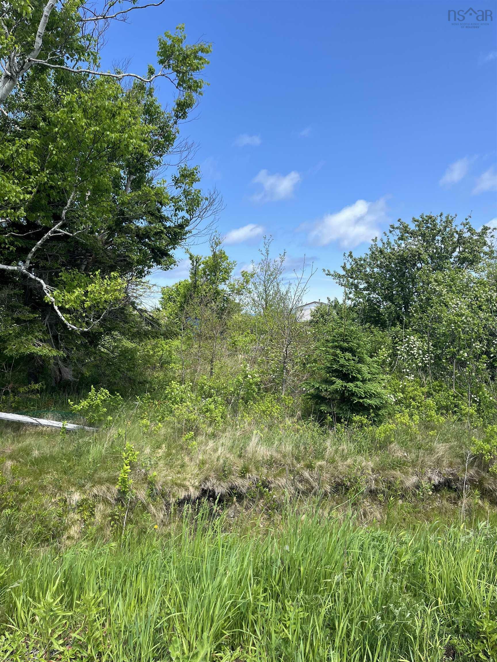 Property Photo:  39 Winona Street  NS B1A 1H3 