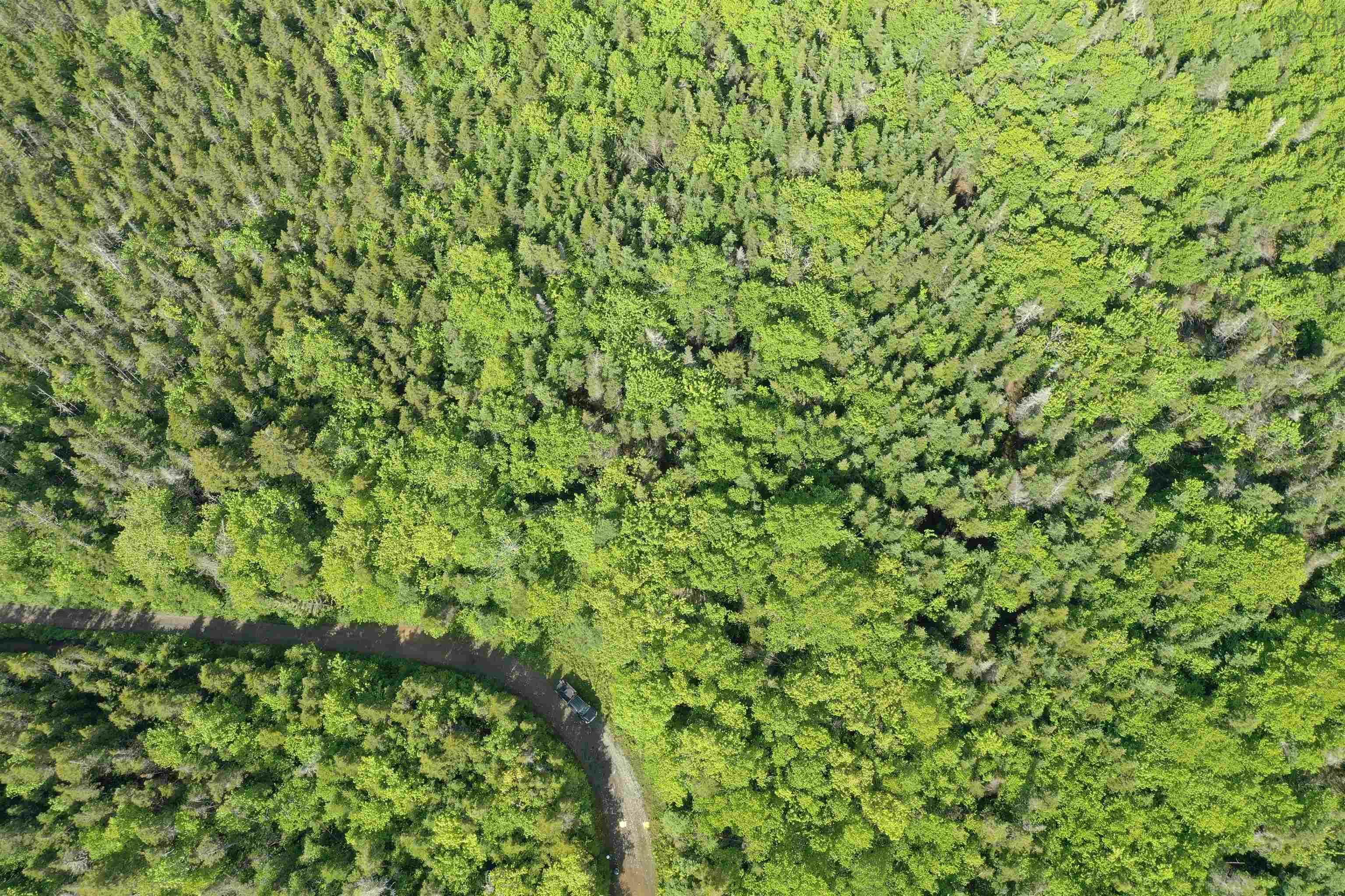 Property Photo: Grant 16738 Moser River North Road NS B0J 2K0