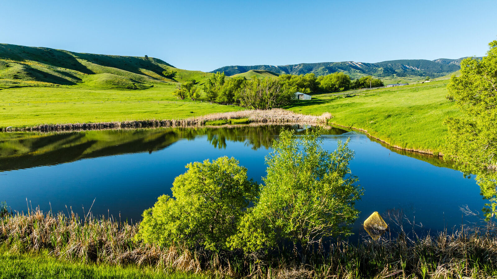 Property Photo:  42 Shepards Road  WY 82833 