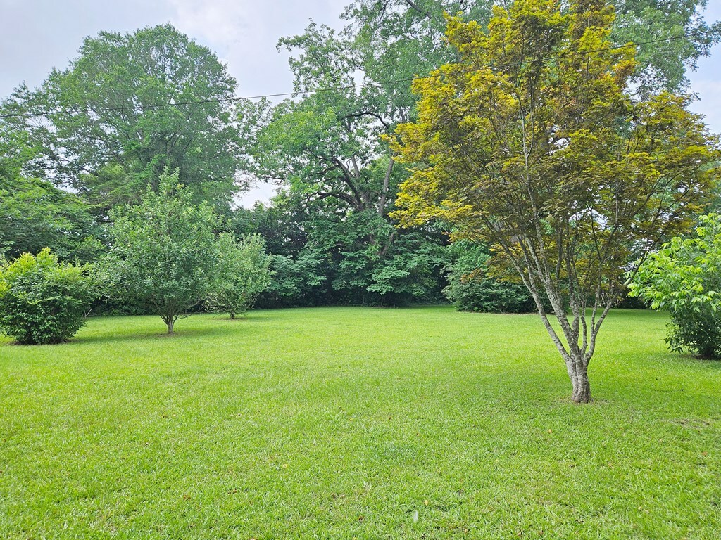 Property Photo: 145 Second Street GA 39826