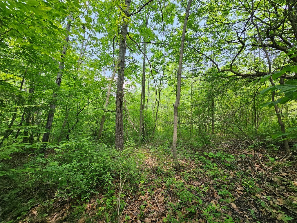 Property Photo: Crane Lane NY 14898