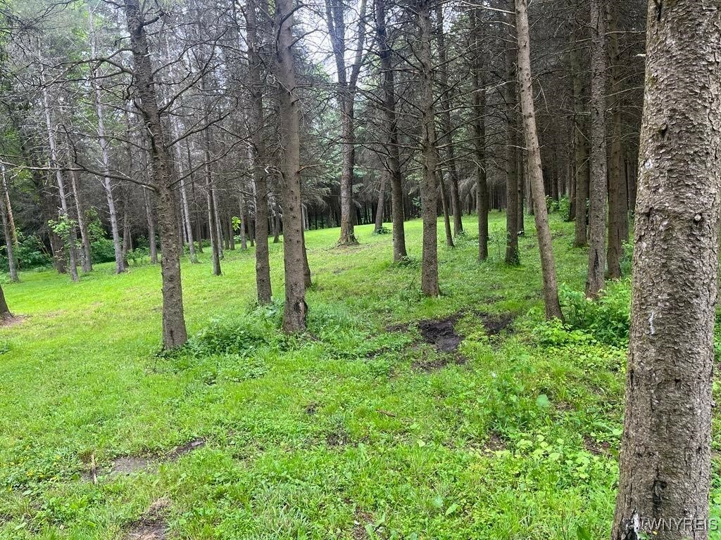 Property Photo: 3453 Duttun Loop Lane NY 14727