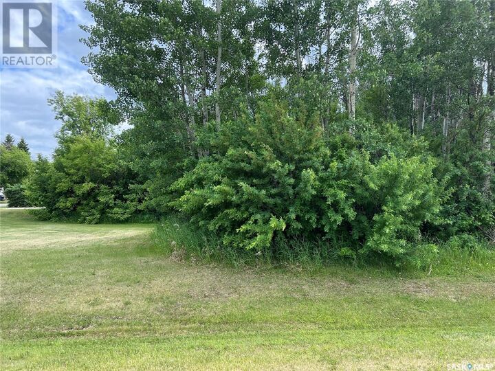 Property Photo:  327 Windsor Avenue  SK S0E 1H0 