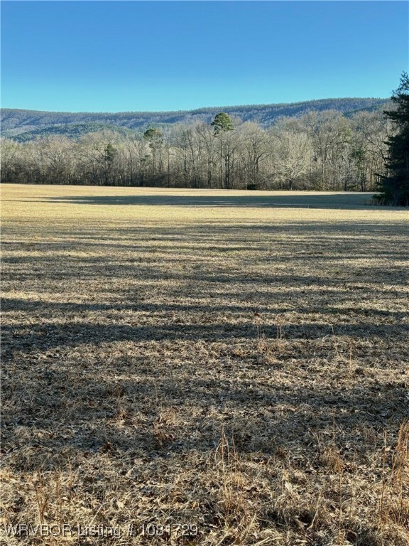 Property Photo: Tbd Lot 1 Rocky Road OK 74939
