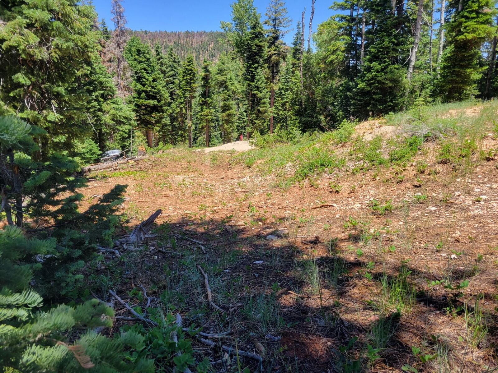 Property Photo: 845 W Tamarisk Cir UT 84762