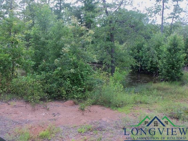 Property Photo: Tbd Whiteside Lane Cr 1127D TX 75662