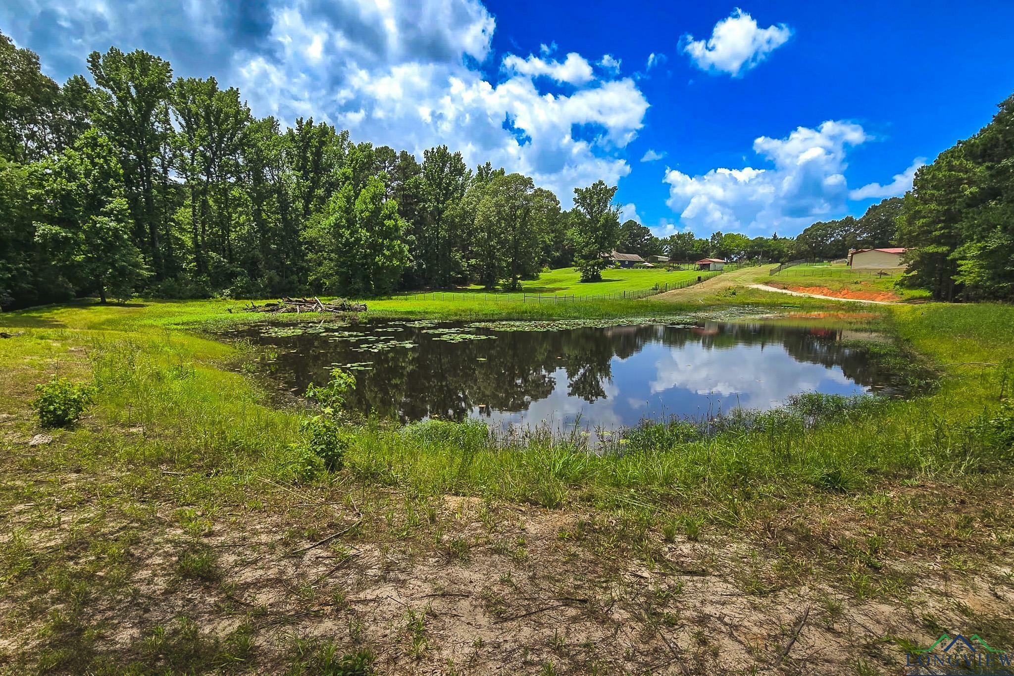 Property Photo: 14384 N County Road 2125 14384 N Cr 2125 TX 75652