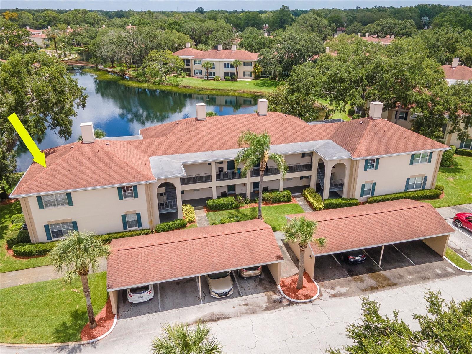 Property Photo: 10330 Carrollwood Lane 95 FL 33618