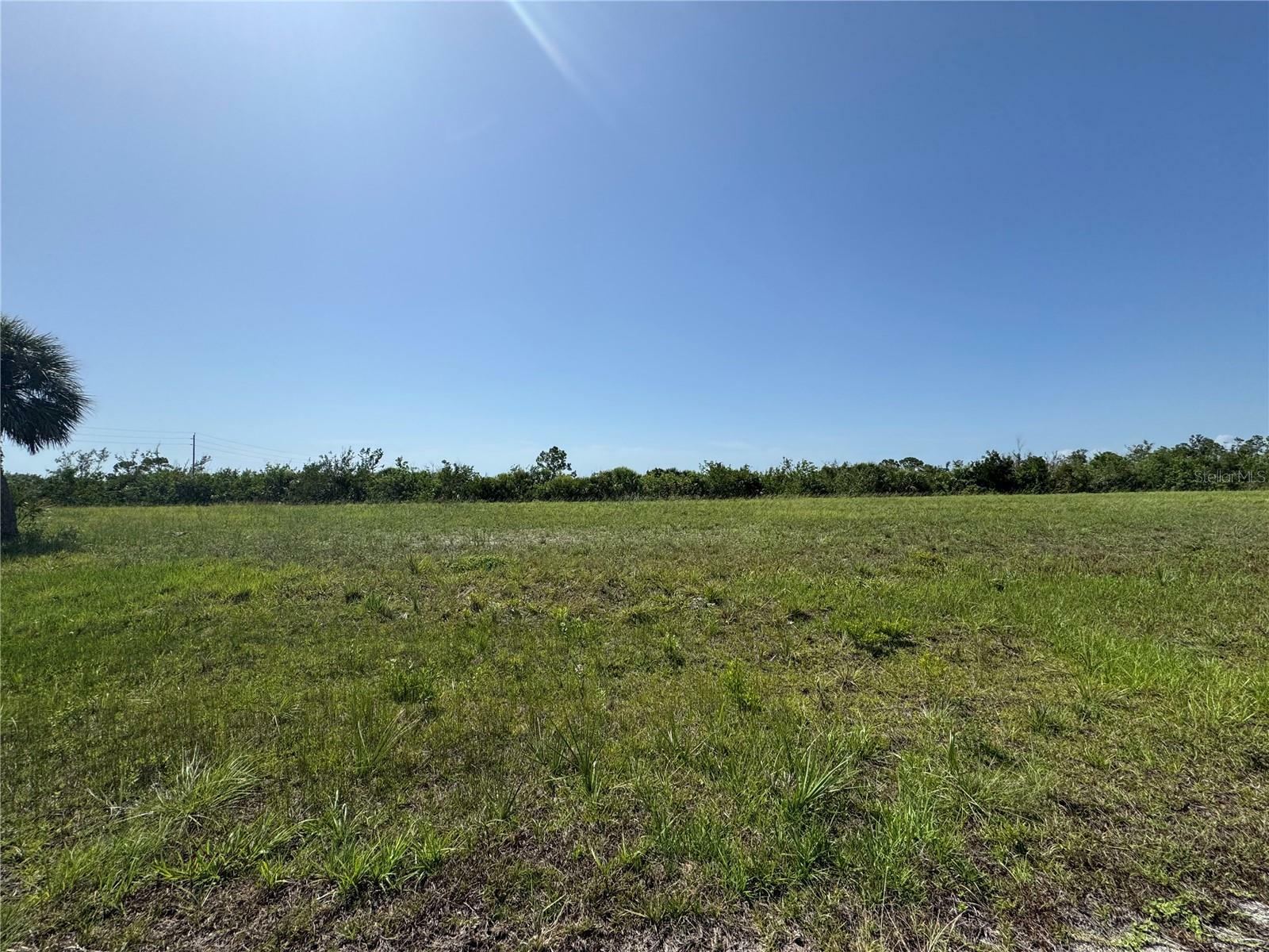 Property Photo: 13452 Walleye Way FL 33946